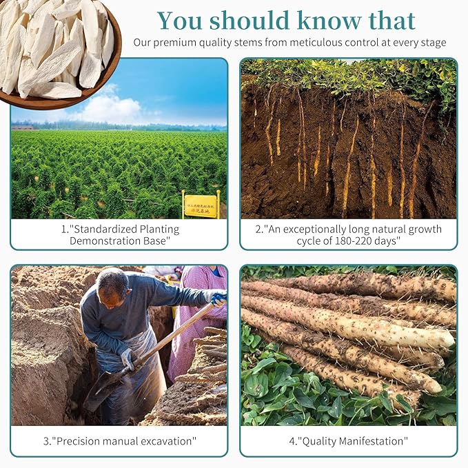 Hee Creek Dried Yam 240g/8.47oz Dried Iron Stick Yam Shan Yao Large Slices Cutting for Herbal Tea Congee Soup Porridge Rich in Nutrients Sulfur Free Pure Natural 铁棍山药 山药干 山药片 煮粥煲汤