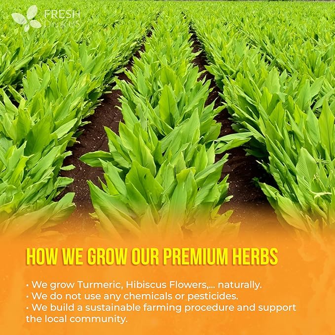 FreshDrinkUS Premium Harmony Herbal Tea | 60 Tea bags | 100% Natural Turmeric Hibiscus Ashwagandha Goji Berry Reishi Cinnamon &amp Orange Peel – Naturally Aromatic Caffeine-Free Tea
