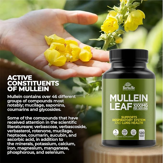 Mullein Leaf 1000mg 120 Capsules Lung Detox for Smokers Lung Cleanse Supplement Supports Respiratory Function Health Promotes Mucous Membranes | Ear Health Mucus Relief Herbal Pills