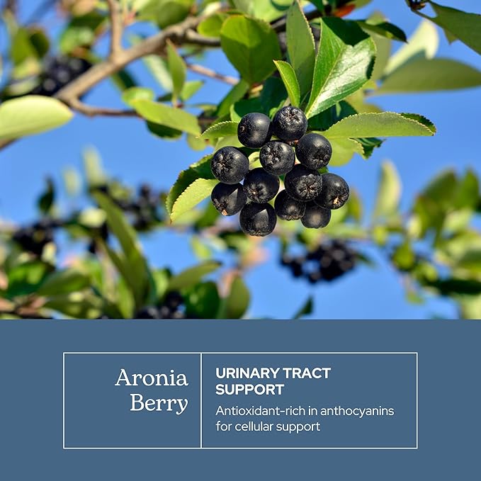 Eclectic Institute Raw Freeze-Dried Organic Aronia Berry Capsules | Supports Heart Immune System Digestive and Urinary Tract Health | 90 CT (450 mg)