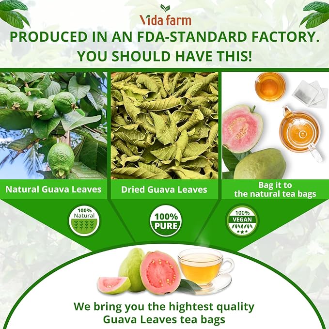 VIDA FARM 125 Premium Guava Leaf Tea Bags Zero Sugar Tea Handpicked 100% Pure and Natural Guava Leaves Non-GMO No Caffeine Gluten-Free Vegan