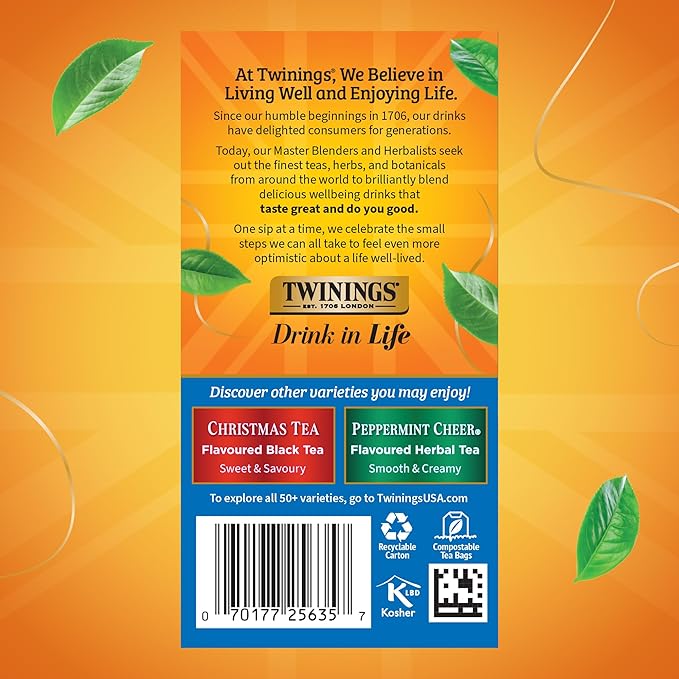 Twinings Winter Spice Herbal Tea Individually Wrapped 20 Count (Pack of 6) Camomile Apple Cinnamon &amp Clove Caffeine-Free Enjoy Hot or Iced 120 Teabags