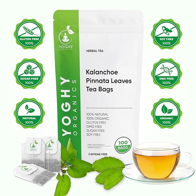 Kalanchoe Pinnata Leaves Tea Bags 50 Tea Bags Healthy Organic Leaves Herbal Tea