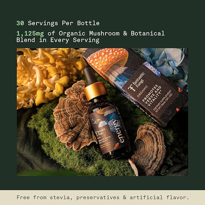 Fantastic Fungi Cordyceps Mushroom Tincture Drops - 4-in-1 Stress Support &amp Energy Elixir with Ginseng Turkey Tail &amp Rhodiola - Organic Mushroom Extract Liquid 30 Servings 1 fl oz