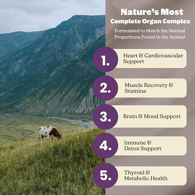MK Supplements Grass Fed Beef Organ Supplement Supports Whole Body Wellness Nature Identical Blend of Liver Heart Spleen Kidneys Pancreas Freeze-Dried Non-GMO 45 Servings (3000 mg Each)