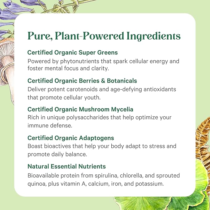 PURE SYNERGY Organic Superfood Powder | Green Superfood Powder | Whole Food Supplement with Organic Greens Spirulina and Mushrooms | for Energy Healthy Aging and Immune Health (12.5 oz)