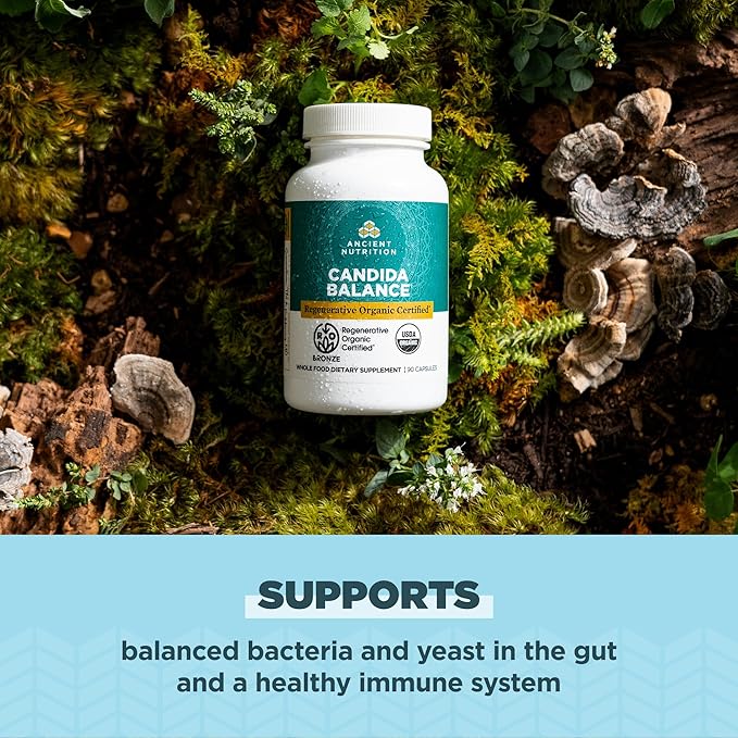Ancient Nutrition Gut Health Supplement Regenerative Organic Certified Candida Capsules Provides Occasional Diarrhea Constipation Gas and Bloating Relief Supports Immune Function 90 Count
