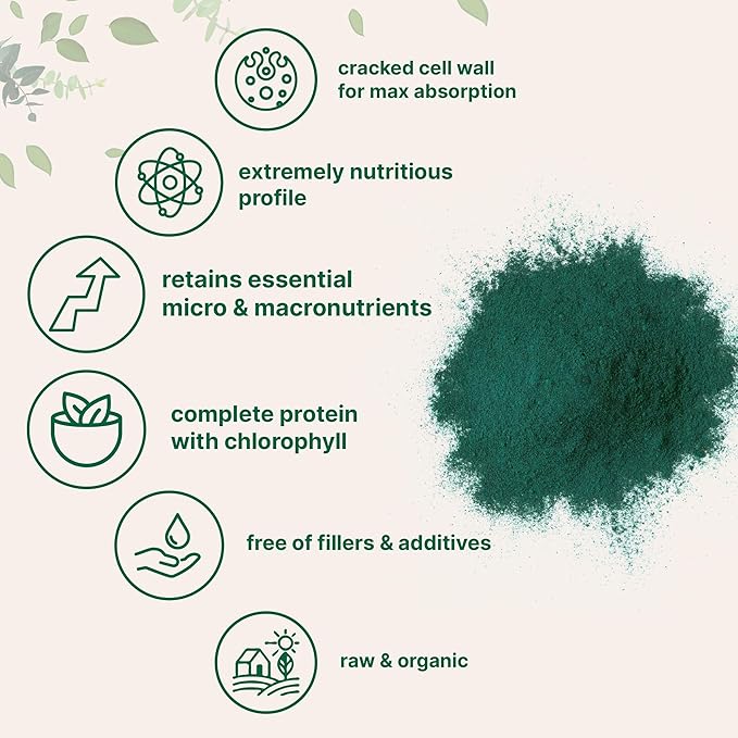 Micro Ingredients Organic Chlorella Powder 20 Ounces | Broken Cell Wall for Complete Absorption | Raw Superfood Supplement Rich in Protein &amp Vitamins | Non-GMO Vegan Non-Irradiated