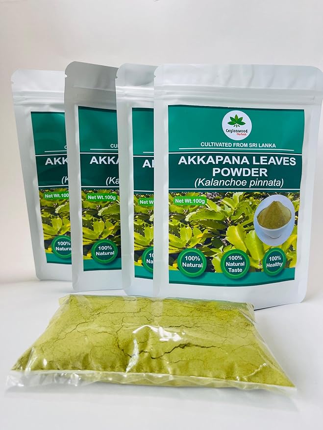 Organic Kalanchoe pinnata Leaves Powder 100g (Bryophyllum Pinnatum) Miracle leaf air plants Herbal Powder - Ceylonwood Herbals