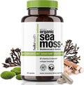 Organic Irish Sea Moss Capsules: Wildcrafted Sea Moss Burdock Root &amp Bladderwrack Prebiotic Super Food for Immune Support Thyroid Support Natural Energy -120 Caps