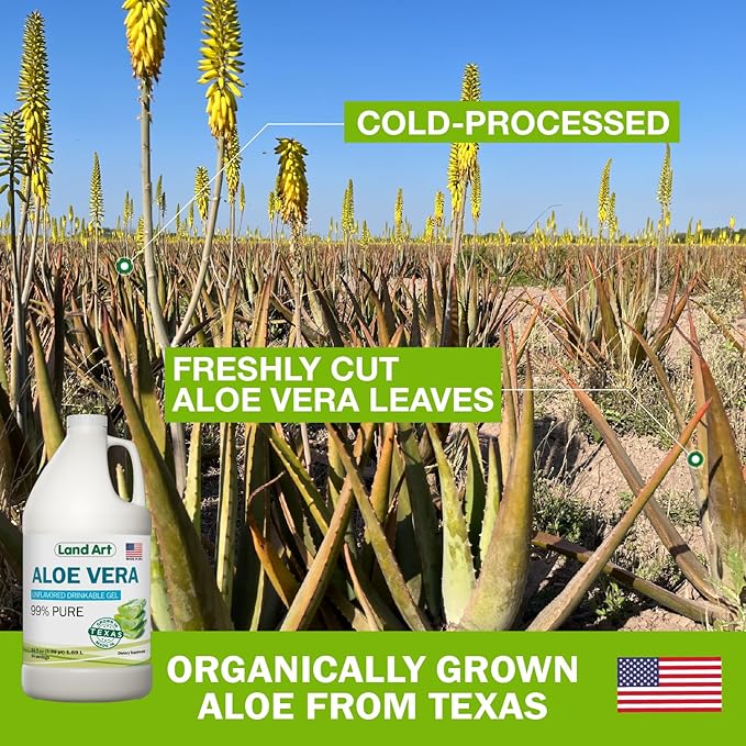 Land Art - Organic Aloe Vera Drinkable Gel for Heartburn &amp Acid Reflux Relief - 99.7% Pure - Cold-Processed - Improves Digestive Health - Soothing and Natural - Vegan &amp Gluten-Free - 64 fl oz