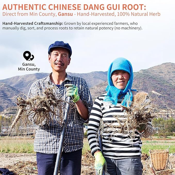 Baihuatang Natural Angelica Root for Tea 5.29oz/150g Dang Gui Tea Chinese DriedAngelica Sinensis Dong Quai Natural Herbal Tea 当归 當歸