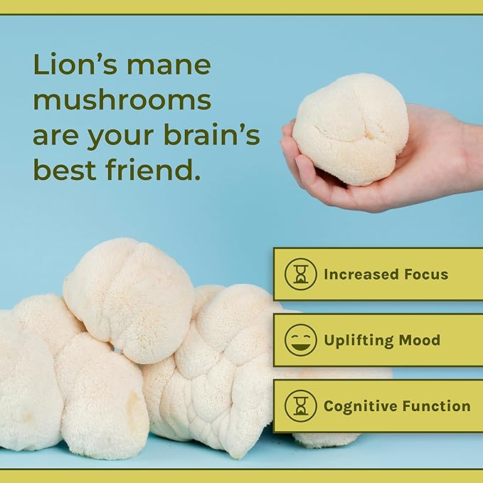 Naturealm Lions Mane Mushroom Supplement Capsules | 30-Day Supply | Organic Brain &amp Immune Support | 100% Fruiting Body Extract No Mycelium | Focus Memory &amp Mental Clarity