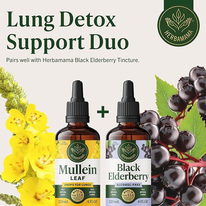 HERBAMAMA Mullein Drops for Lungs - Vegan Lung Cleanse with Mullein Leaf Extract Echinacea Tincture &amp Licorice - Non-GMO Alcohol &amp Sugar-Free Respiratory Support Supplement - 56-Day Supply