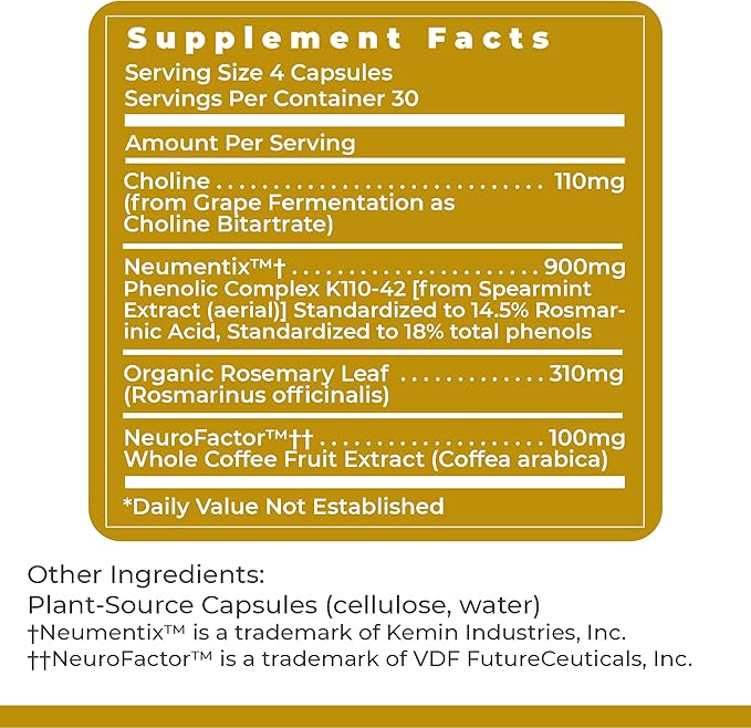 Premier Research Labs Cognitropic - Brain Supplements for Memory and Focus Focus Supplement Brain and Memory Power Boost Clarity Vitamins for Brain Memory Support - 120 Vegetarian Capsules