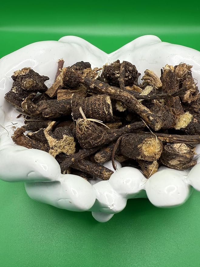 Wildcrafted OSHA Root (Bear Root) – Ligusticum porteri – Fresh Harvested from New Mexico – 1 oz
