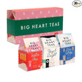 Lingtoolator Co. Cozy Holiday Tea Bags Gift Set - Certified Organic Ayurvedic Herbal Tea Small Batch Ground Herbs Florals Spices - Zero Plastic Sachets Healthy Tea Variety Box 3 Flavors 30 Pack