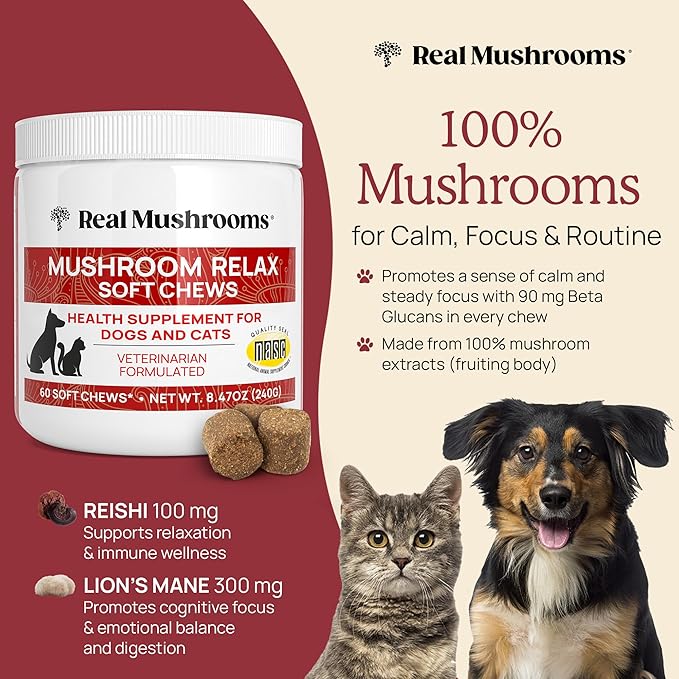Calming Chews for Dogs &amp Cats – Soft Chews with Reishi &amp Lion’s Mane for Daily Composure – for All Breeds &amp Sizes – Calming Treats for Dogs: 1 Chew/20 lb Daily Cats: ¼ Chew Twice Daily –
