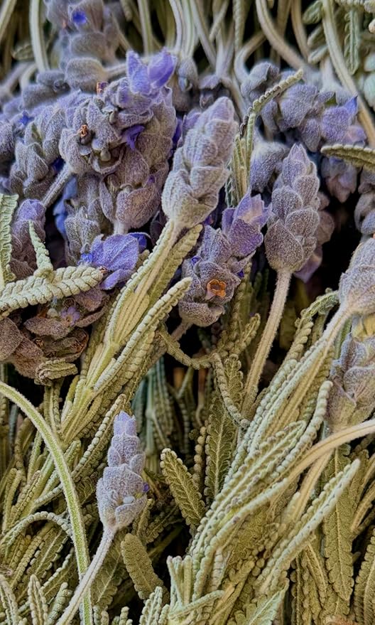Freshly Preserved Lavender Dried Flowers - Edible Lavender for Drinks Toppers Cakes Decoration Baking &amp DIY Crafts - 20 USA-Grown Freeze-Dried Edible Flowers - 0.2 Oz