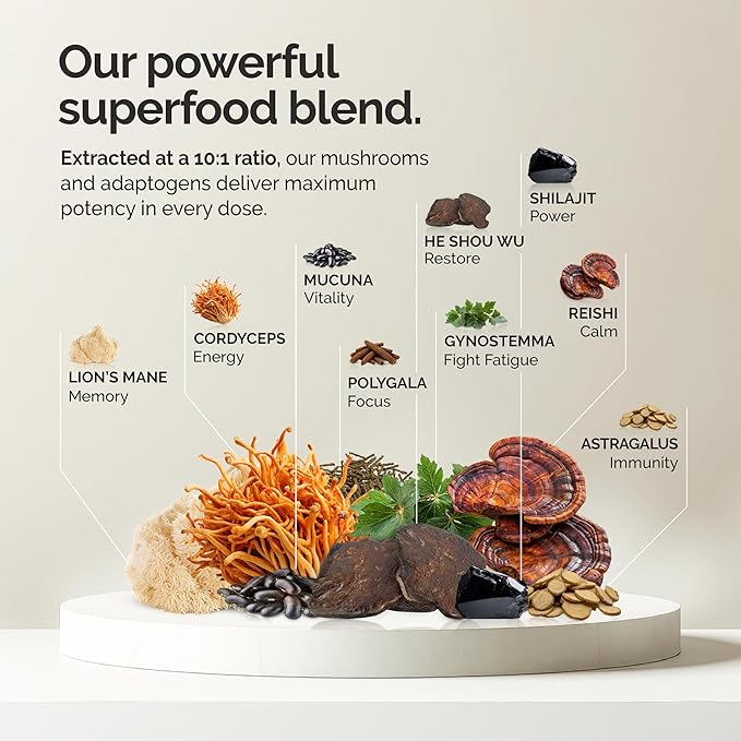 Cacao Mushroom Coffee Superfood Blend 10X Concentrated Extract with Lion's Mane Reishi &amp Cordyceps Energy &amp Focus Support 30 Servings Premium Supplement Powder