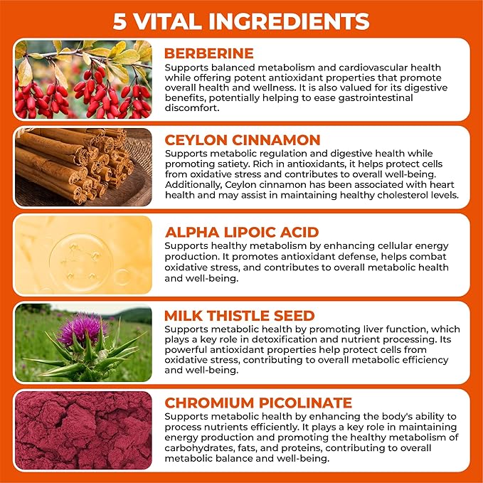 Berberine Supplement with Ceylon Cinnamon Chromium Alpha Lipoic Acid Metabolic Care Supports Metabolism &amp Cardiovascular Health and Immune System Helps Maintain Steady Energy Levels