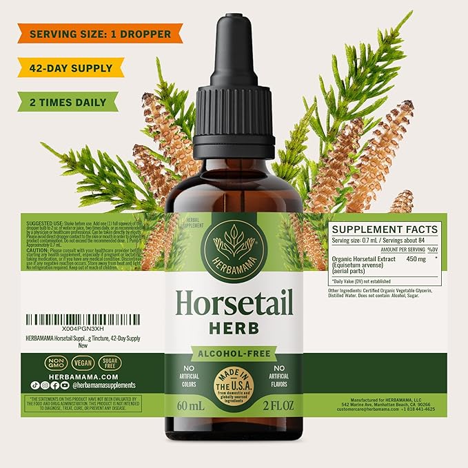 HERBAMAMA Horsetail Supplement Drops - Vegan Hair Nail &amp Skin Care with Horsetail Extract - Non-GMO Alcohol &amp Sugar-Free Liquid Hair Strengthening Tincture 42-Day Supply