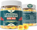Berberine 500mg Supplement Once Daily Liposomal Gummies with Ceylon Cinnamon Bitter Melon Banaba Leaf for Metabolism Balanced AMPK Activator High Absorption Sugar Free Vegan 60 Cts