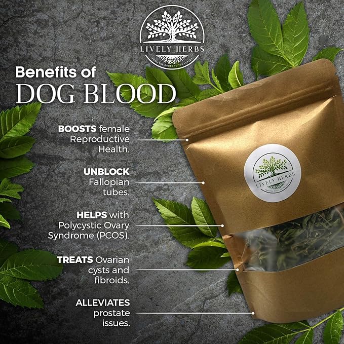 Generic Dirty Treasures JM Jamaican Dog Blood Herb (Fertility Bush) Rivina Humilis (2oz)