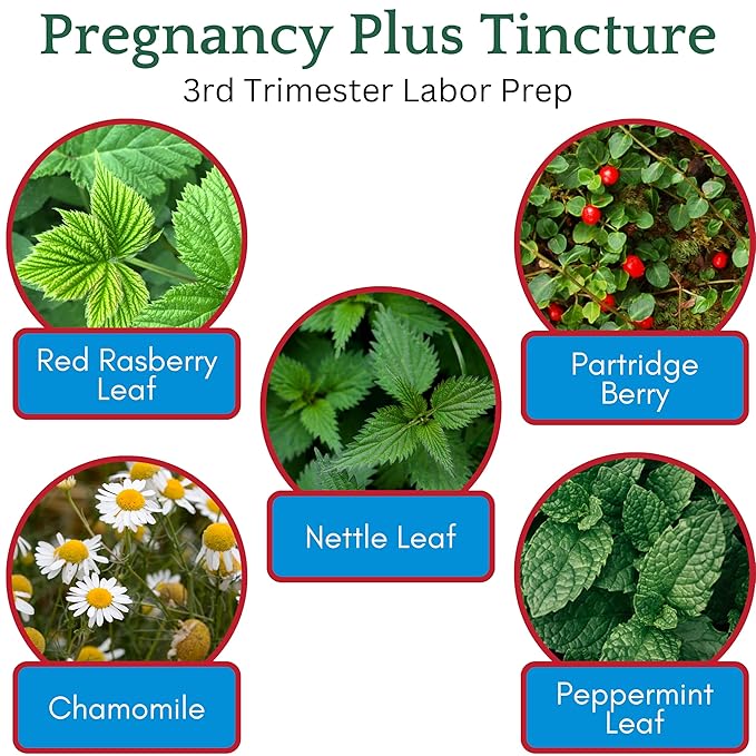Herb Lore Pregnancy Tea Plus Tincture - Third Trimester Labor Prep Tea for Last 6 Weeks of Pregnancy with Red Raspberry Leaf &amp Partridge Berry (2 fl oz)