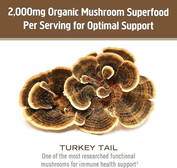 OM MUSHROOM SUPERFOOD Turkey Tail Organic Mushroom Powder Pouch 7.05 Ounce 100 Servings Immune Support Polysacchrides Beta-Glucans Gut Health &amp Holistic Defense Mushroom Supplement