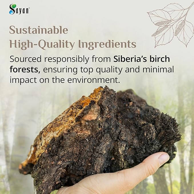 Sayan Siberian Pure Raw Coarse Chaga Powder 4 Oz / 113g – Premium Wild Forest Harvested Super Antioxidant Tea – Supports Immune System and Digestive Health – Focus Energy Clarity Wellness - Non-GMO