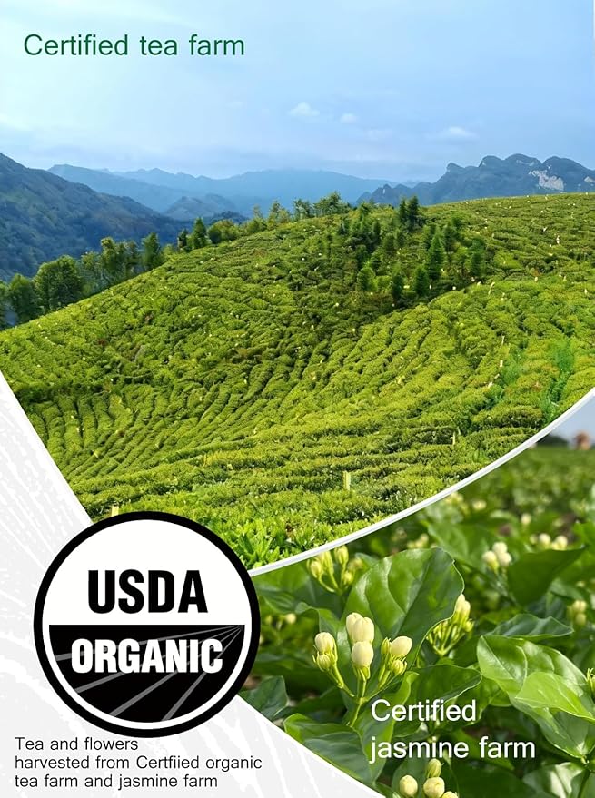 TETWIN Jasmine Green Tea Bags 40ct Resealable Tin – Organic Loose Leaf Tea Scented with Fresh Jasmine Flowers USDA Organic Full Leave Teabags Light Caffeine Naturally Aromatic