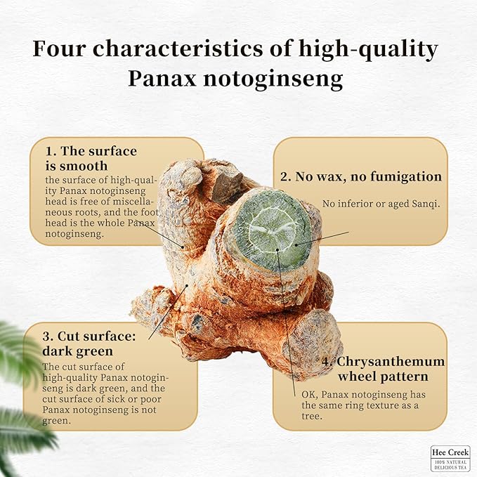 Hee Creek Notoginseng Root Heads 10.58/300g Natural Tienchi – 7-Year-Grown Whole Panax Notoginseng from Wenshan Yunnan – Tian Qi Sanqi Ginseng for Herbal Wellness Tea Soup 田七 田七人参 三七 活血化瘀