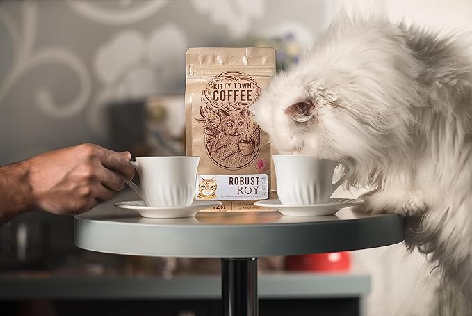 Kitty Town Coffee: Robust Roy Medium Roast Coffee From Brazil &amp Costa Rica 2lb (32oz) Whole Bean