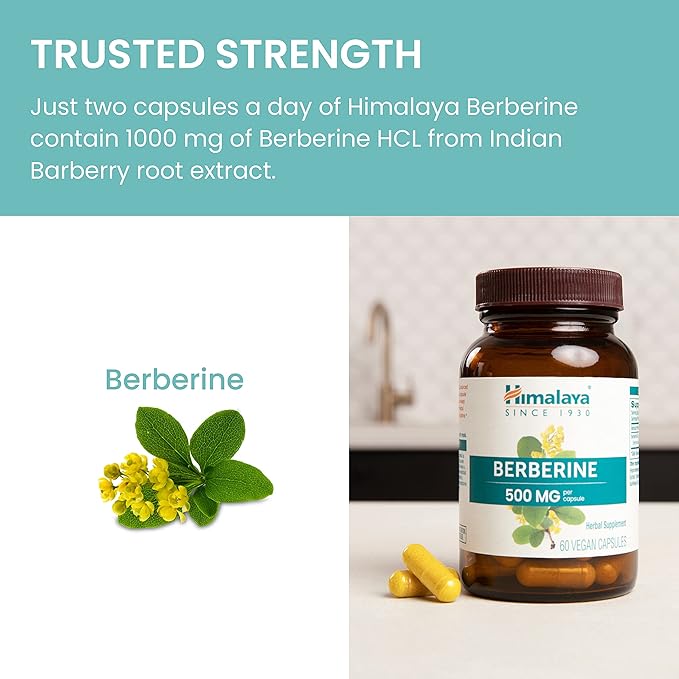 Himalaya Berberine - Herbal Supplement for Supporting Normal Metabolism Immune and Digestive Health - Vegan Gluten Free 500 mg 60 Vegetarian Capsules