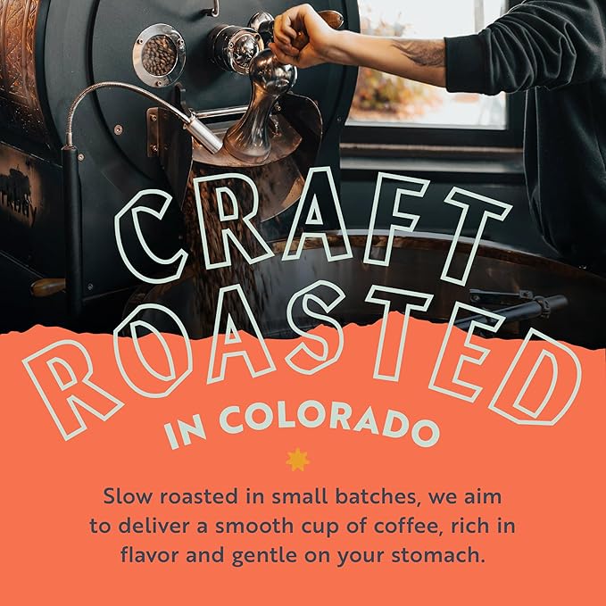 Clean Coffee Co. - Low Acid Medium-Dark Roast Tested for Molds and Toxins Papua New Guinea Blend Notes of Milk Chocolate and Roasted Almonds (Whole Bean 12 oz Bag)