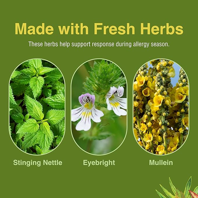 Herbs Etc. Allertonic - Healthy Breathing Support - Herbal Blend to Aid Against Seasonal Discomfort - Lung &amp Respiratory Health Support with Stinging Nettle - 60 Softgels (60 Servings)