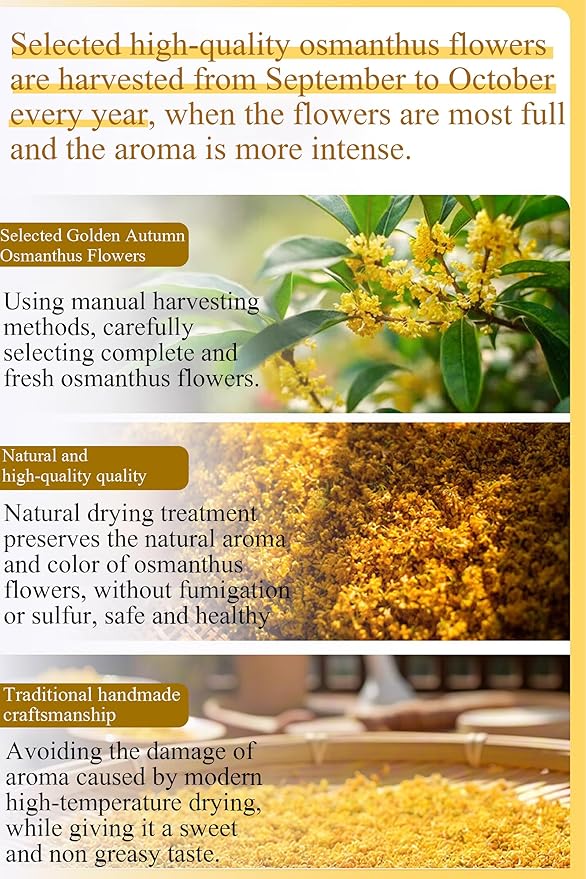 Osmanthus Fragrans 3.53oz/100g Dried Osmanthus Flower Herbal Tea Osmanthus AAA Grade Pairs Well with Desserts and Soups 桂花 干桂花 桂花茶