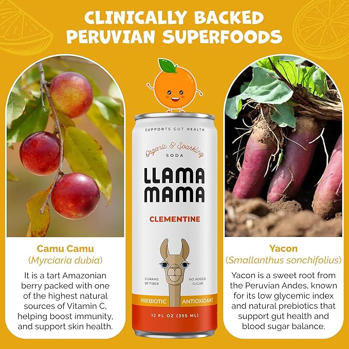 Llama Mama Clementine Organic Sparkling Prebiotic Soda • Gut &amp Immune Support • High Vitamin C Antioxidants • NO Sugar • NO Artificial Sweeteners • NO Stevia • Vegan Plant Fiber • 12 Pack