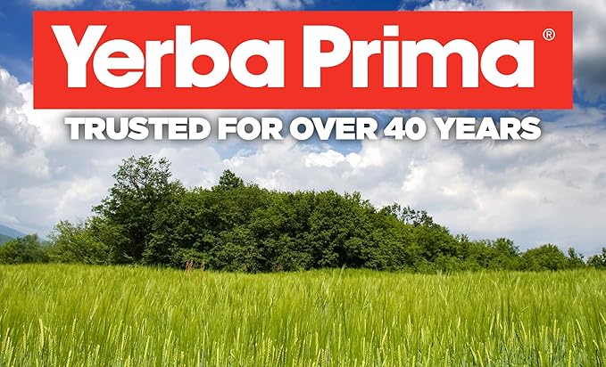 Yerba Prima Psyllium Husks Caps 625 mg 400 Capsules (Pack of 2) - Natural Fiber for Men and Women - Regularity Support Supplement