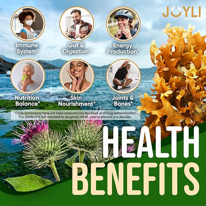 JOYLI Nutrition 2 Pack - Sea Moss Gummies for Adults &amp Kids – Vegan Irish Sea Moss Supplement with Bladderwrack &amp Burdock Root – Sugar-Free Immune Support Supplements - 60 Gummy Bears per Pack