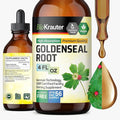 BIO KRAUTER® Goldenseal Root - Pure Vegan Goldenseal Tincture 670mg per Serving 4 Fl.Oz 56-Day Supply - Immune &amp Respiratory Support - Liquid Golden Seal for Digestive Support - Alcohol &amp Suga