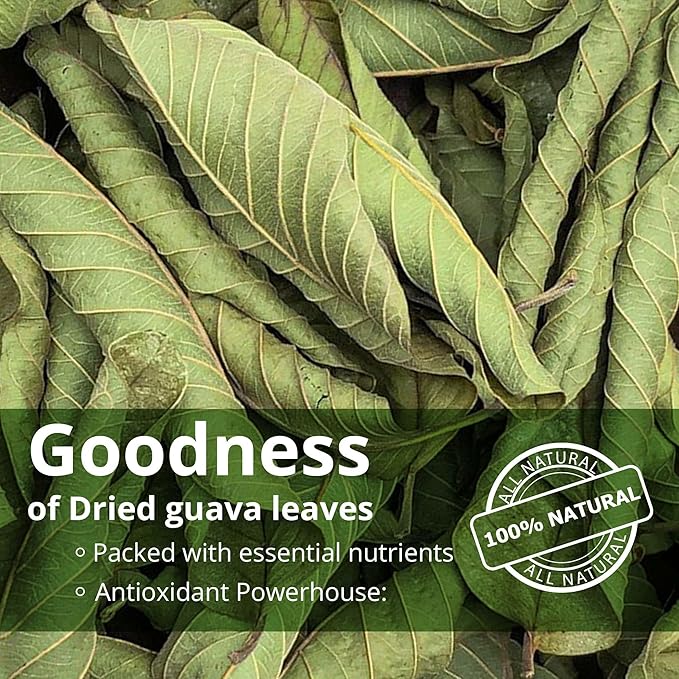 Akshit Dried Guava Leaves Hojas De Guayaba Secas13oz Natural Dried Leaves Aromatic Guava Leaf Tea Vegan Non GMO.