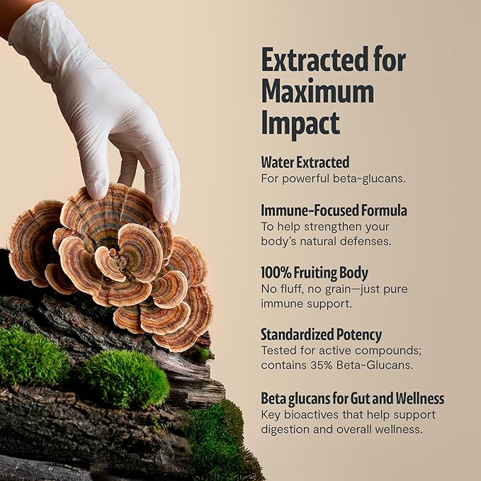 FreshCap Mushrooms Ayurveda Turkey Tail Mushroom Powder 10000mg - Turkey Tail Supplement Mushroom Extract for Immune Support Nootropic Supplement (60 Servings)