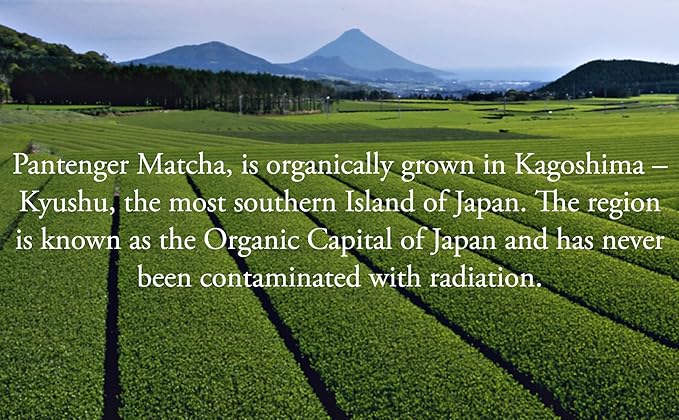 Organic Matcha Green Tea Powder | 3.5 OZ - 80 Servings | Latte &amp Smoothie Grade | Japanese - First Harvest - Stone Milled | By Pantenger