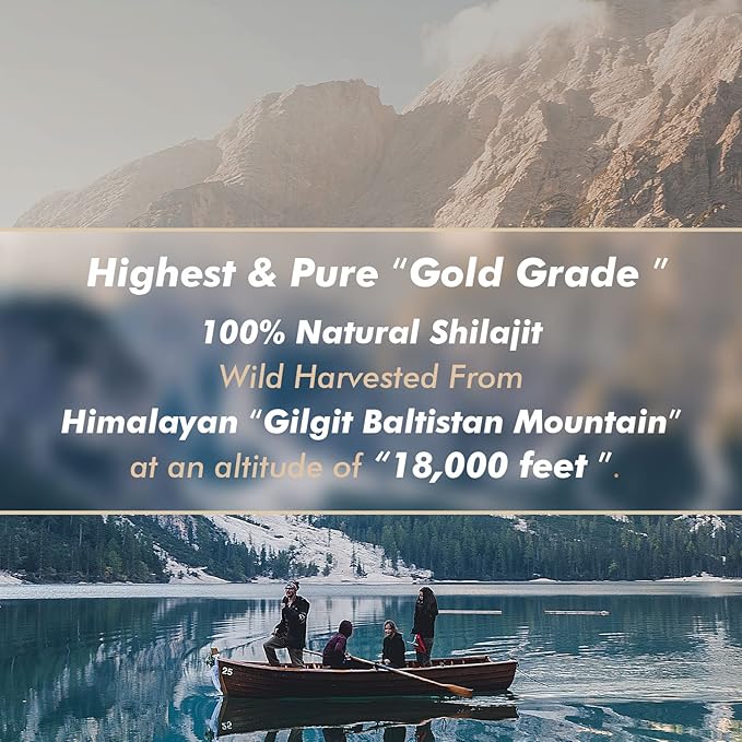 Shilajit Pure Himalayan Organic Shilajit Resin - Gold Grade 100% Purity Shilajit with Fulvic Acid &amp 85+ Trace Minerals Complex for Energy &amp Immune Support Pack of 2 (4 Months Supply)