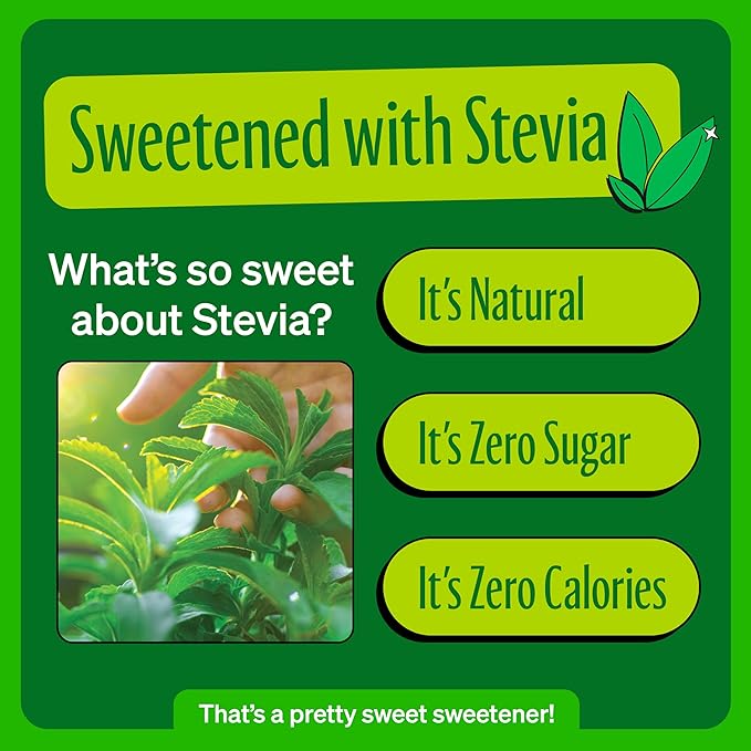 Zevia Zero Calorie Soda Mountain Zevia 12 Ounce Cans (Pack of 20)