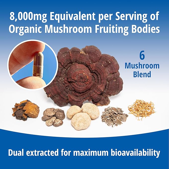 ENCAPSULATE 6 Mushroom Blend – Reishi Chaga Turkey Tail Cordyceps Lion’s Mane &amp Shiitake 8:1 Mushroom Extract – Nootropic &amp Adaptogen Mushroom Supplement for Gut Brain &amp Immune Suppor