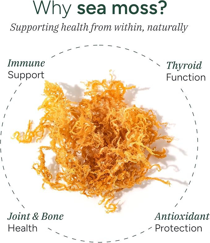 Sea Moss Gummies I 92+ Minerals I Black Seed Oil I KSM 66 Ashwagandha I Lab Tested I No Added Sugar | for Men Women I Non-GMO I 100% Natural &amp Organic I 1600 mg I 60 Gummy