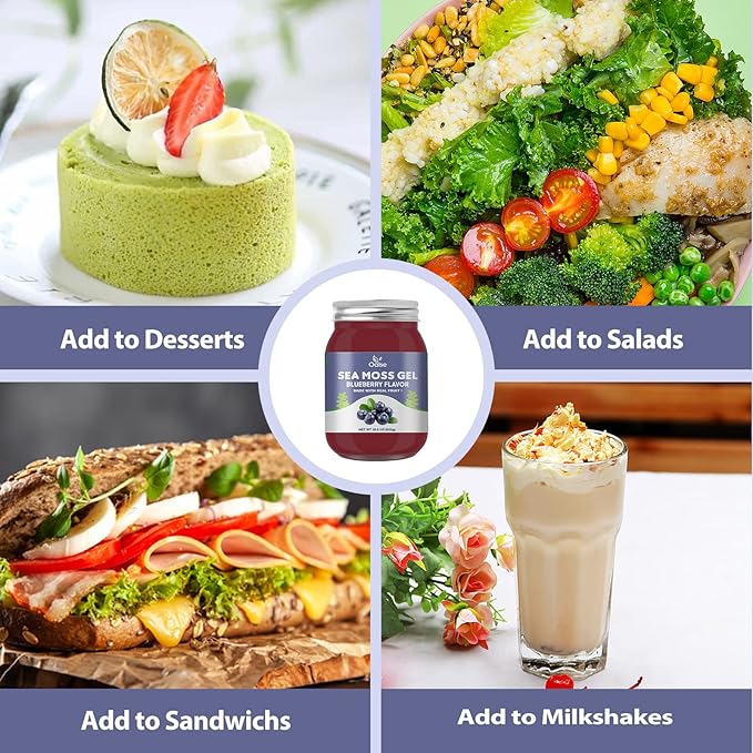 Sea Moss Gel - 18.5oz Blueberry Flavor Raw Nutritious Sea Moss Gel in Minerals Proteins &amp Vitamins Vegan-Friendly 2 Tablespoon Daily